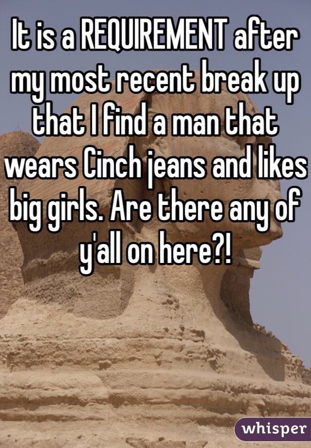 It is a REQUIREMENT after my most recent break up that I find a man that wears Cinch jeans and likes big girls. Are there any of y'all on here?! 