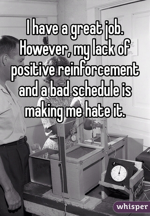 I have a great job. However, my lack of positive reinforcement and a bad schedule is making me hate it. 