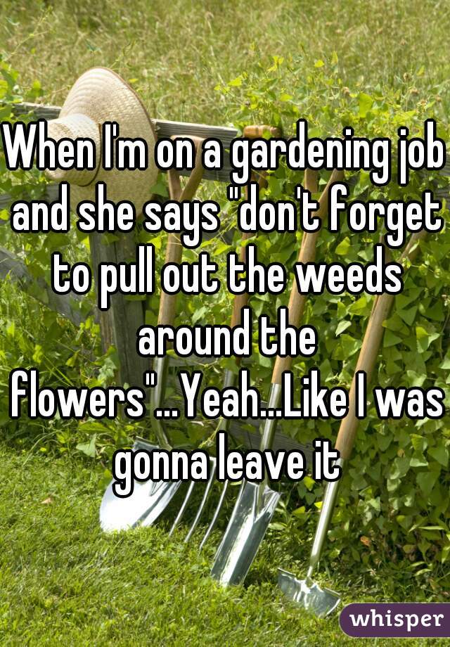 When I'm on a gardening job and she says "don't forget to pull out the weeds around the flowers"…Yeah…Like I was gonna leave it