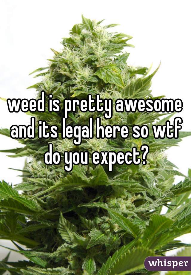 weed is pretty awesome and its legal here so wtf do you expect?