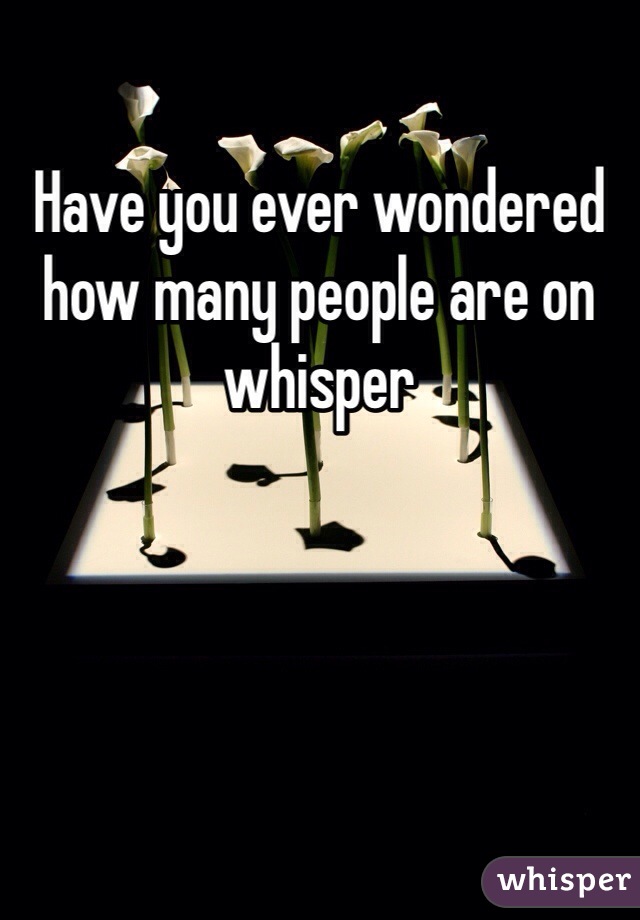 Have you ever wondered how many people are on whisper