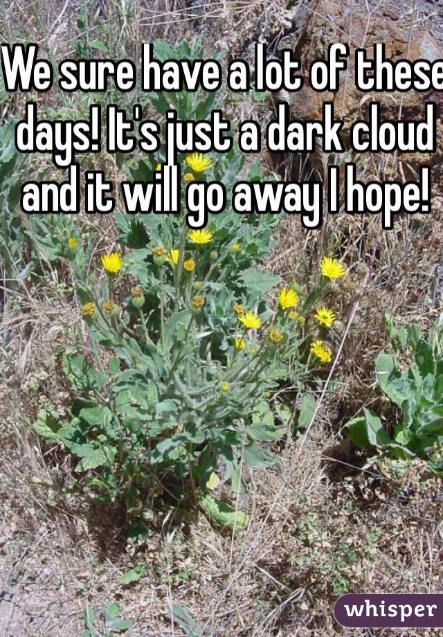 We sure have a lot of these days! It's just a dark cloud and it will go away I hope!
