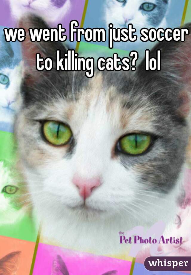 we went from just soccer to killing cats?  lol