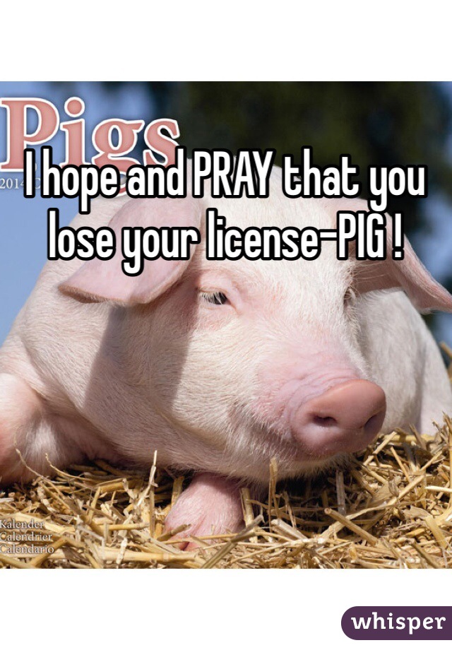 I hope and PRAY that you lose your license-PIG !