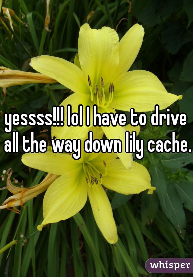 yessss!!! lol I have to drive all the way down lily cache. 