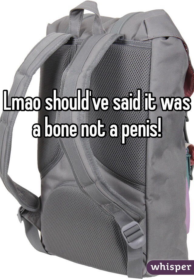 Lmao should've said it was a bone not a penis!