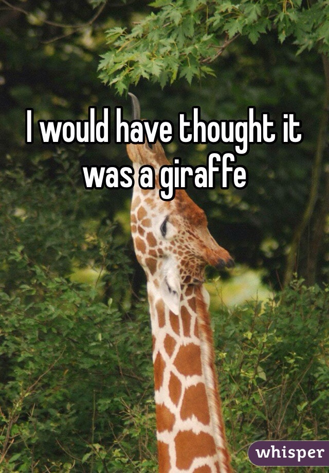 I would have thought it was a giraffe 