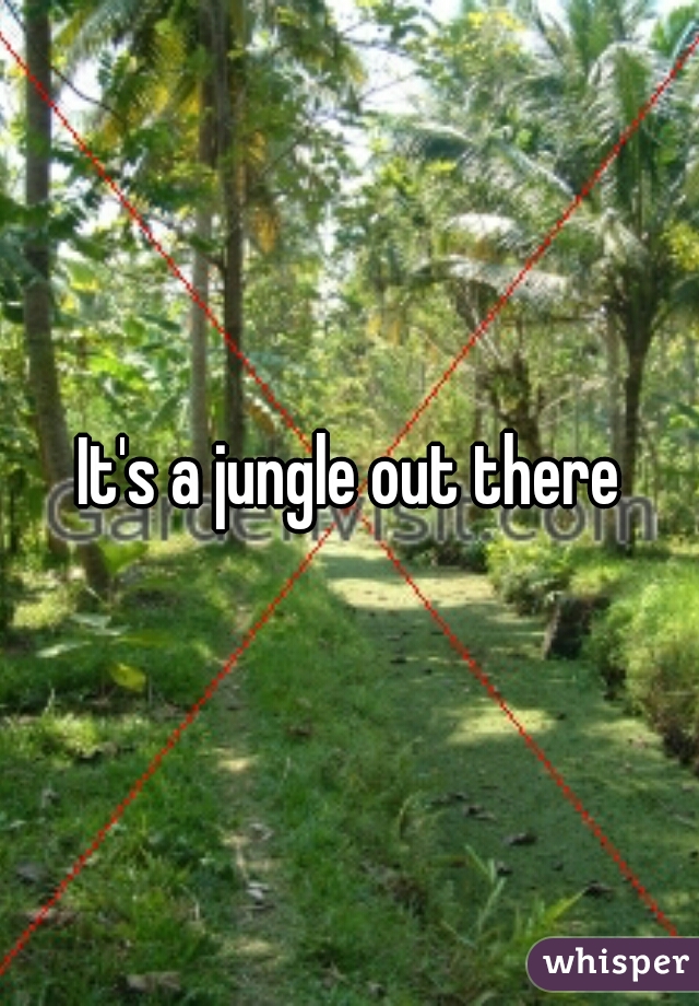 It's a jungle out there