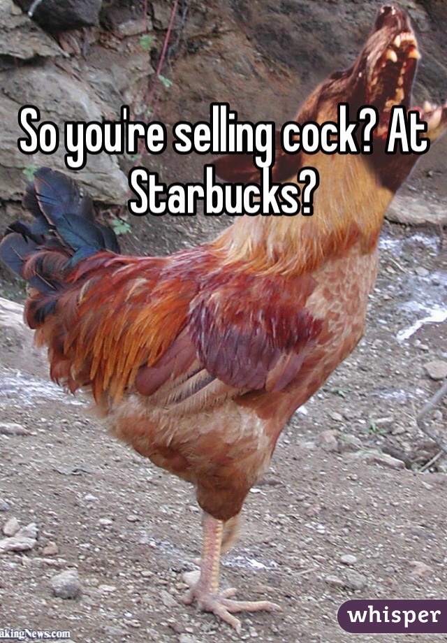 So you're selling cock? At Starbucks? 