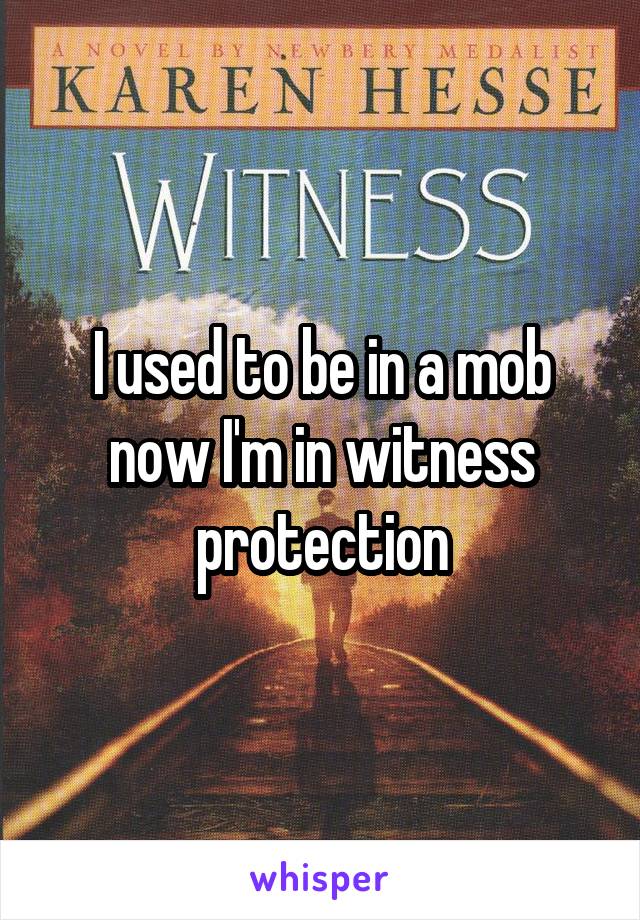 I used to be in a mob now I'm in witness protection