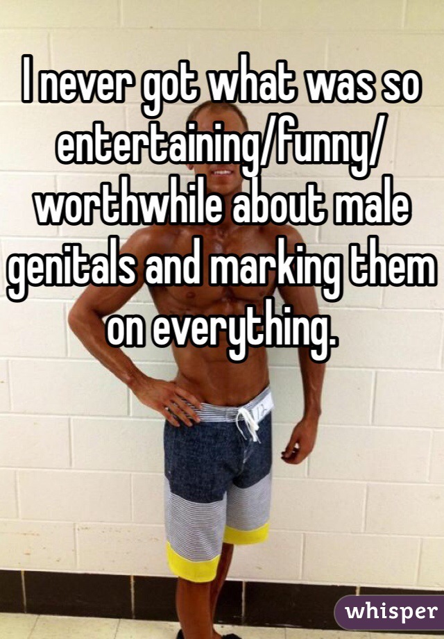 I never got what was so entertaining/funny/worthwhile about male genitals and marking them on everything. 