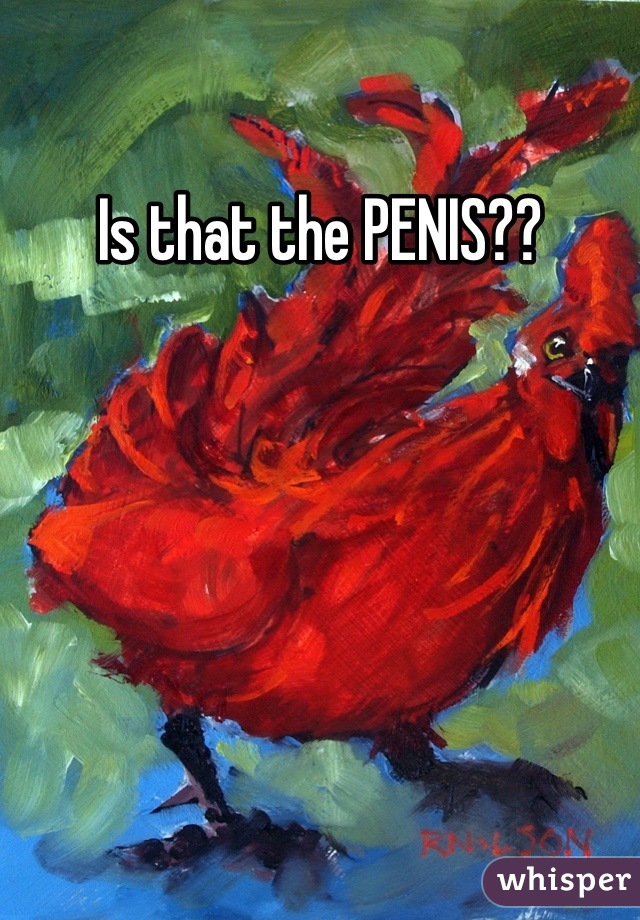 Is that the PENIS??