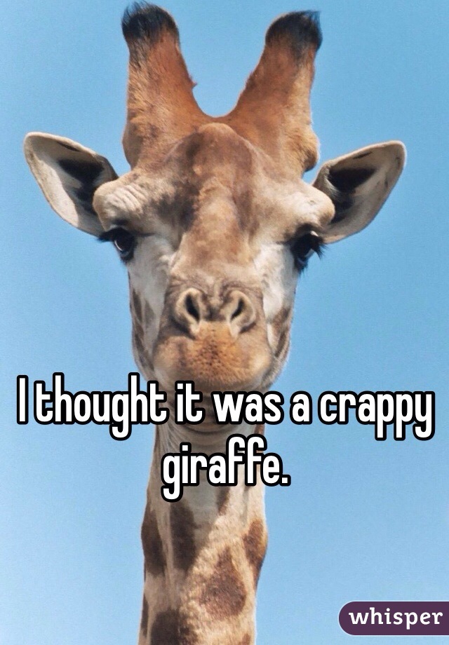 I thought it was a crappy giraffe. 