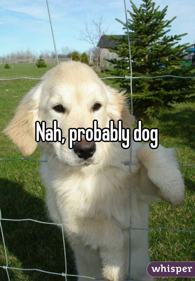 Nah, probably dog