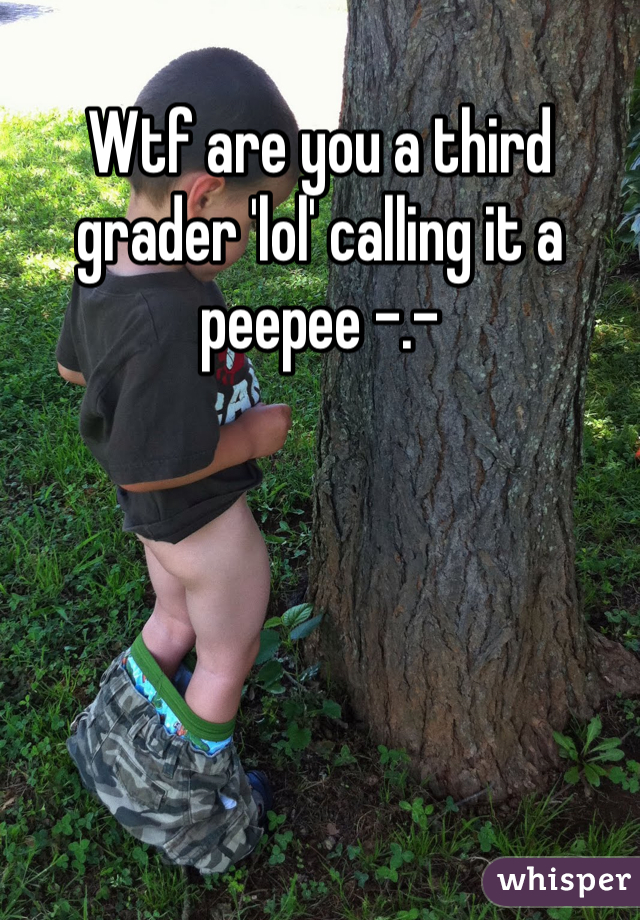 Wtf are you a third grader 'lol' calling it a peepee -.-