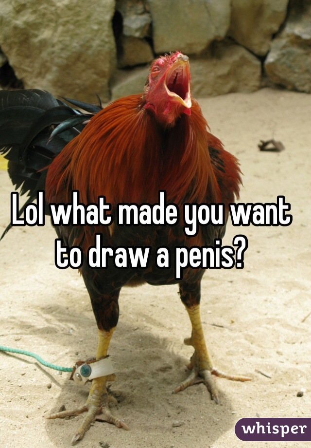 Lol what made you want to draw a penis?
