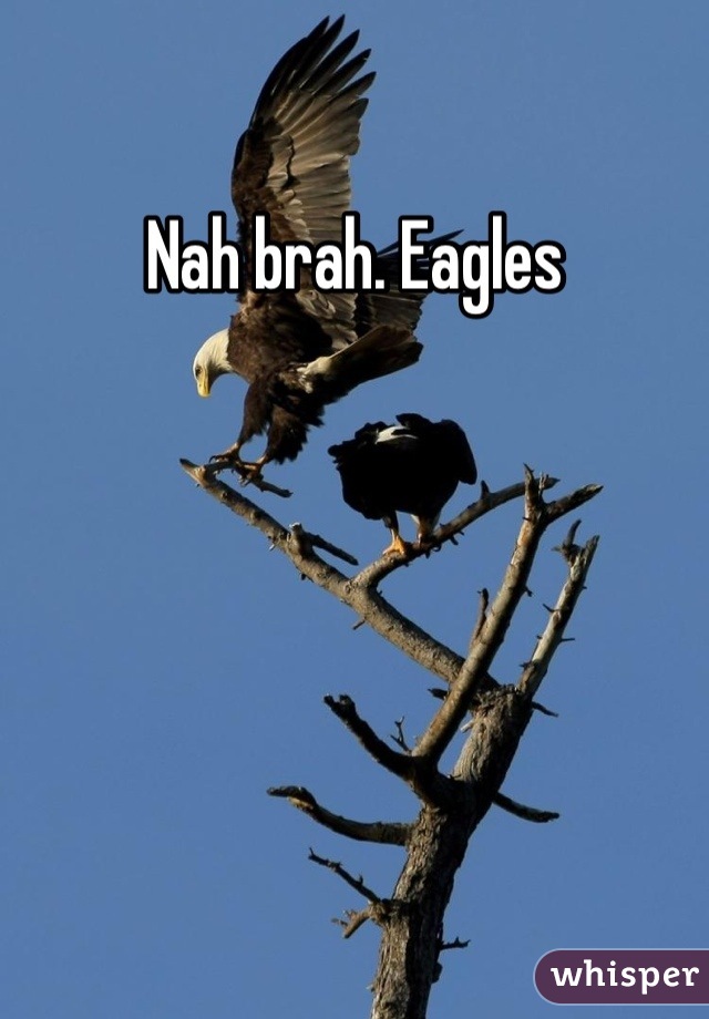 Nah brah. Eagles