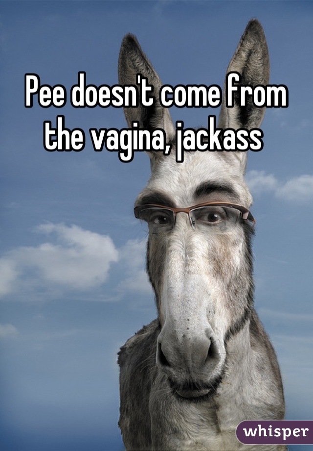 Pee doesn't come from the vagina, jackass 