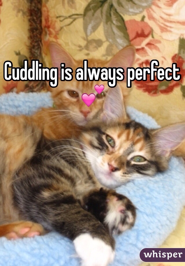 Cuddling is always perfect 💕