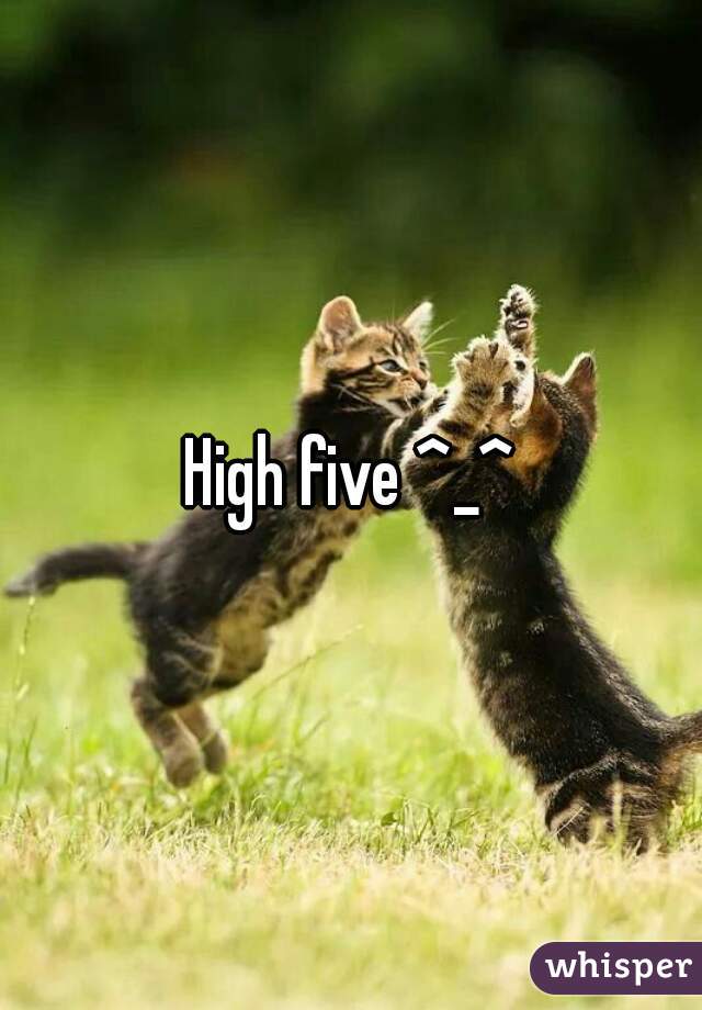 High five ^_^