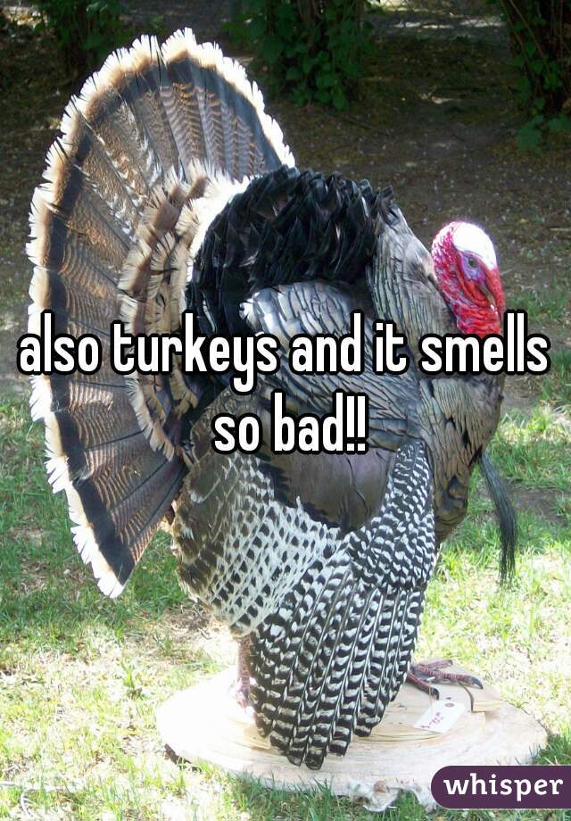 also turkeys and it smells so bad!!