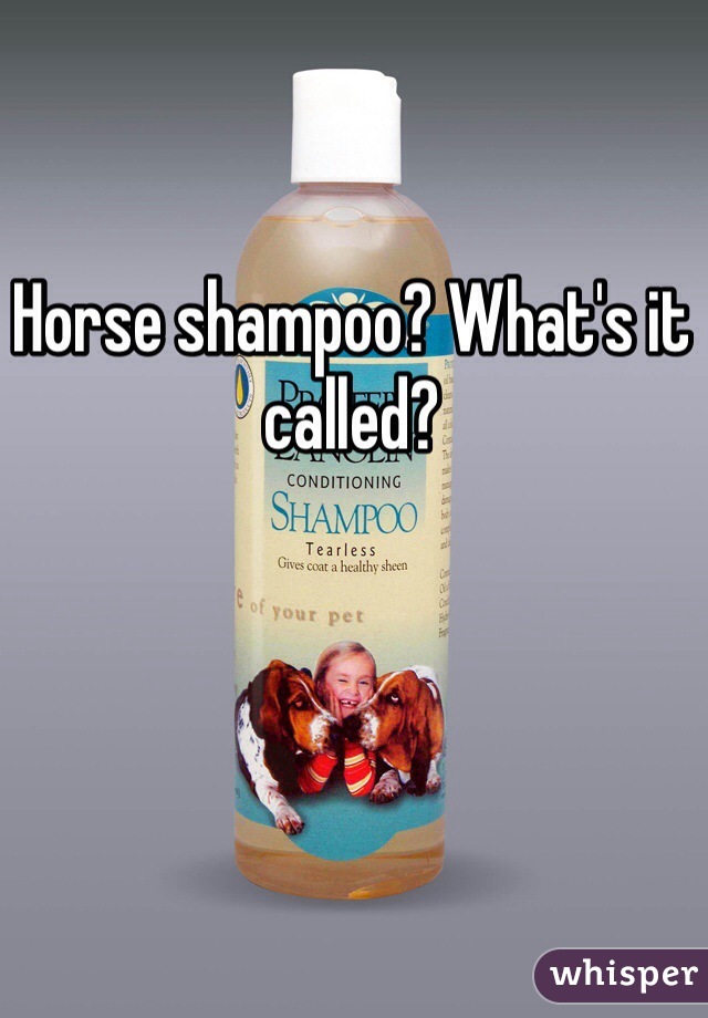 Horse shampoo? What's it called?