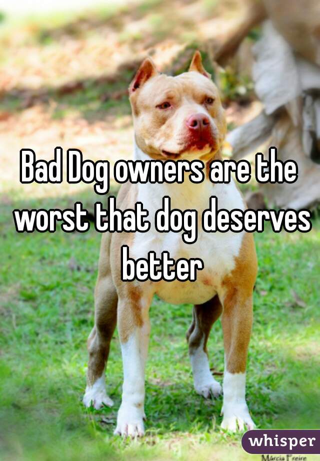 Bad Dog owners are the worst that dog deserves better