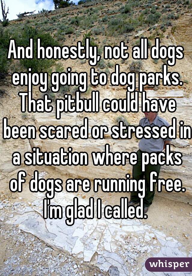 And honestly, not all dogs enjoy going to dog parks. That pitbull could have been scared or stressed in a situation where packs of dogs are running free. I'm glad I called. 