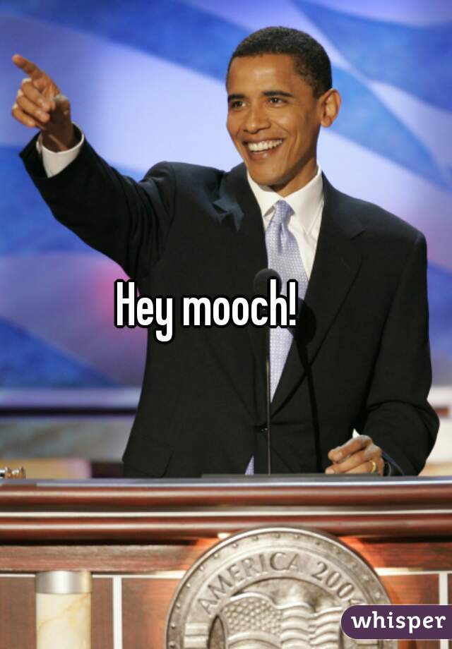 Hey mooch!    