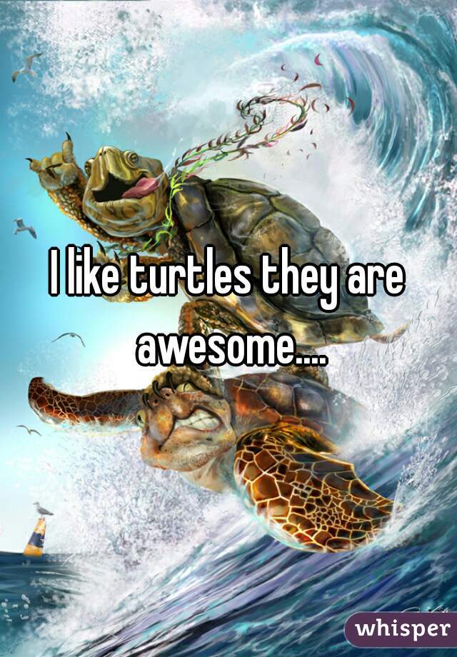 I like turtles they are awesome....