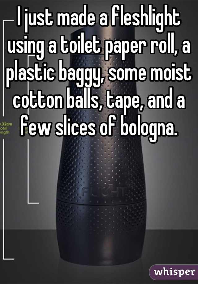 I just made a fleshlight using a toilet paper roll, a plastic baggy, some moist cotton balls, tape, and a few slices of bologna.