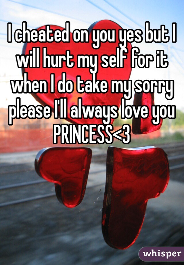 I cheated on you yes but I will hurt my self for it when I do take my sorry please I'll always love you PRINCESS<3 