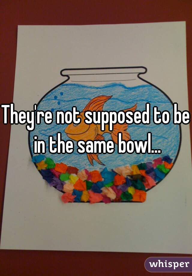 They're not supposed to be in the same bowl...