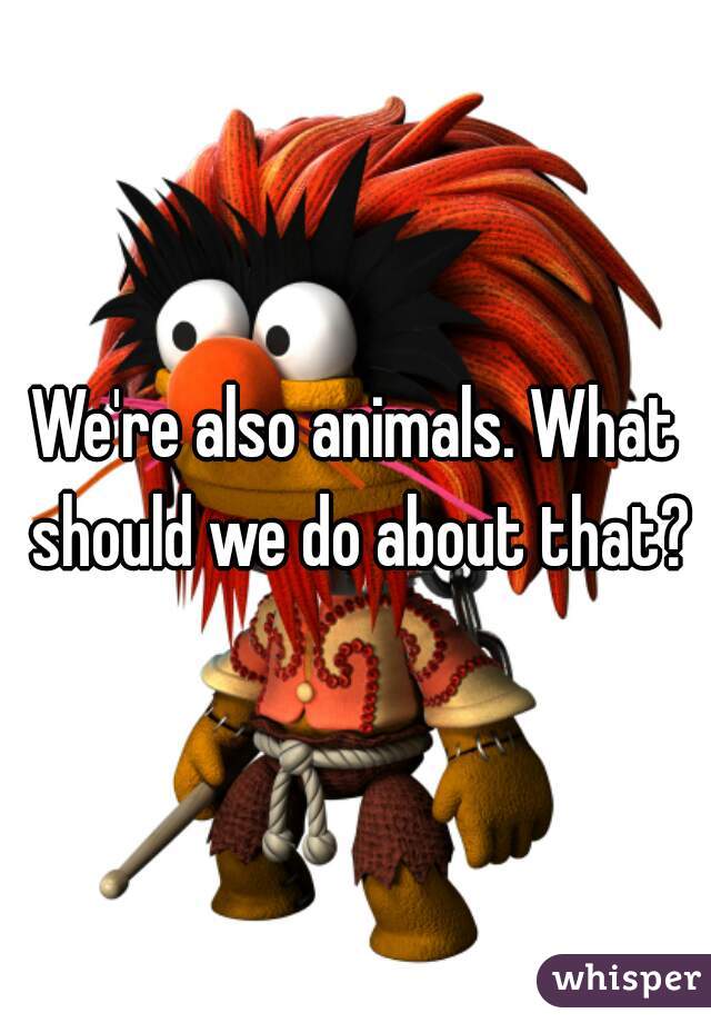 We're also animals. What should we do about that?