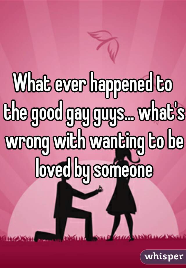 What ever happened to the good gay guys... what's wrong with wanting to be loved by someone