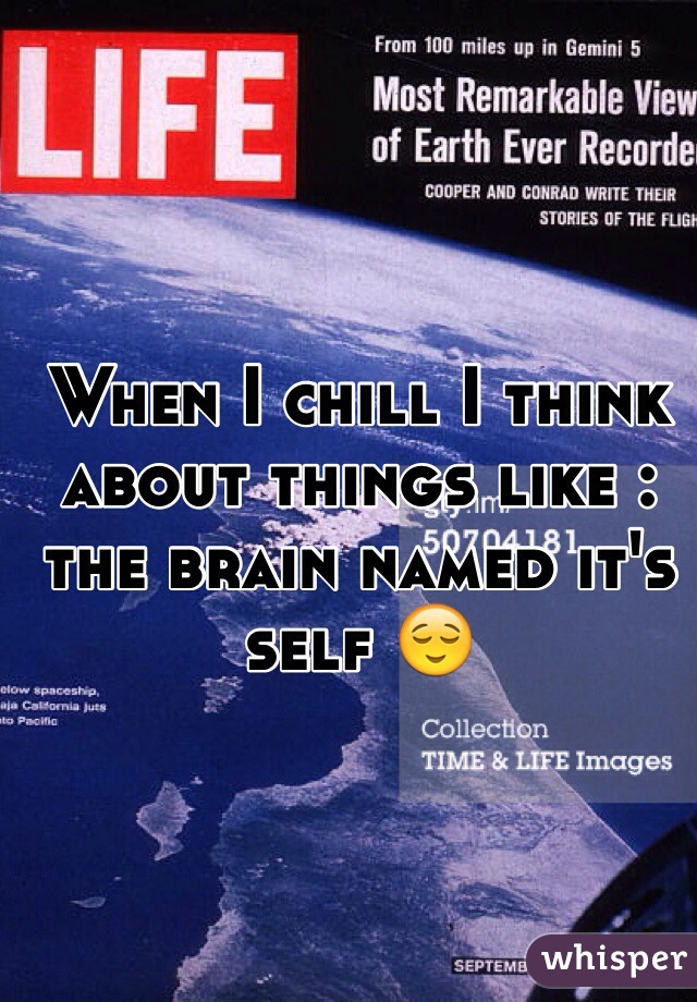 When I chill I think about things like : the brain named it's self 😌