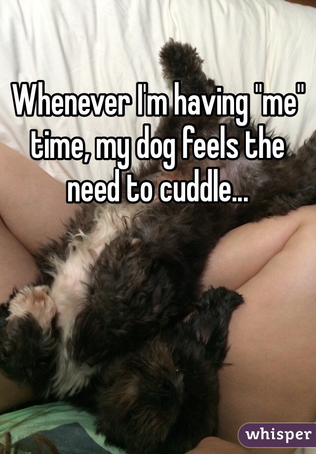 Whenever I'm having "me" time, my dog feels the need to cuddle...