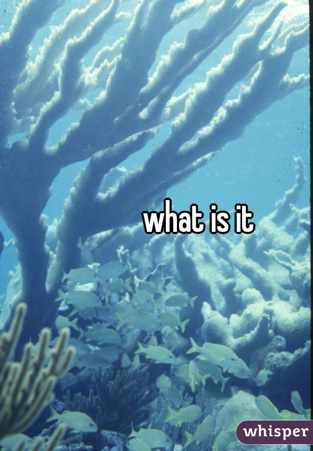 what is it