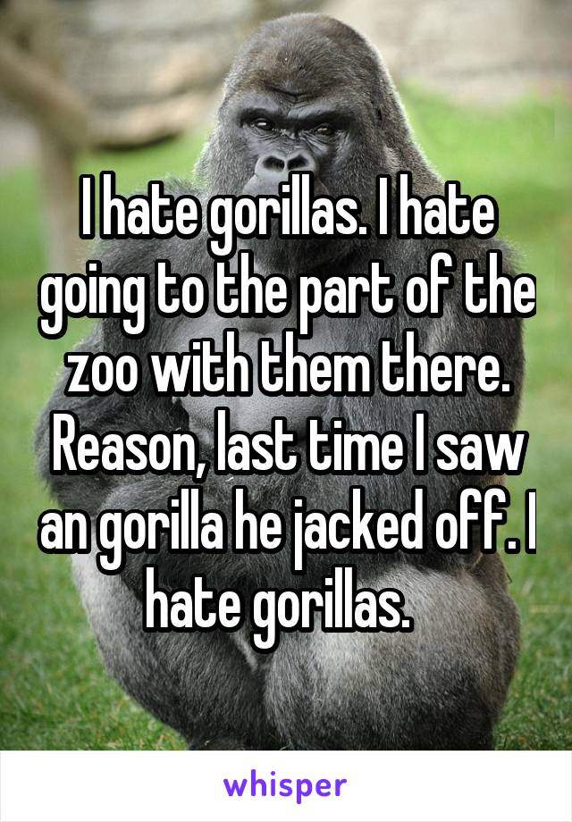 I hate gorillas. I hate going to the part of the zoo with them there. Reason, last time I saw an gorilla he jacked off. I hate gorillas.  