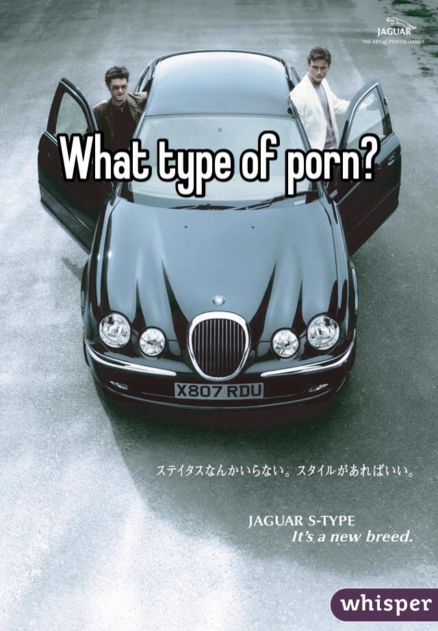 What type of porn?
