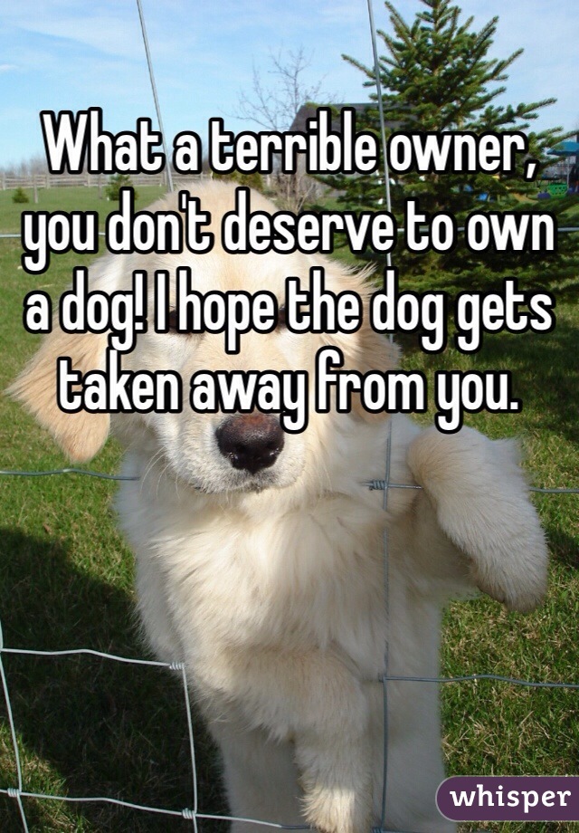 What a terrible owner, you don't deserve to own a dog! I hope the dog gets taken away from you. 