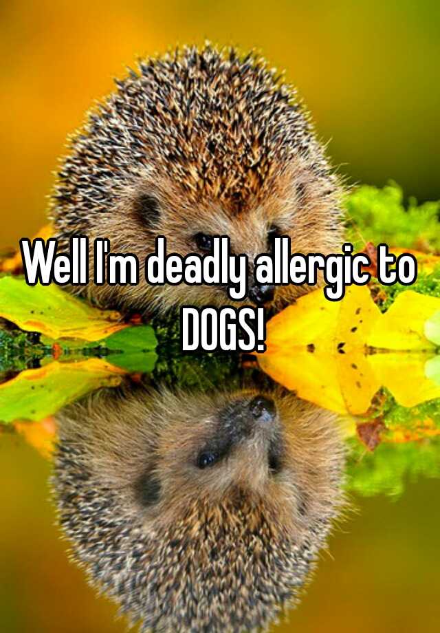 well-i-m-deadly-allergic-to-dogs