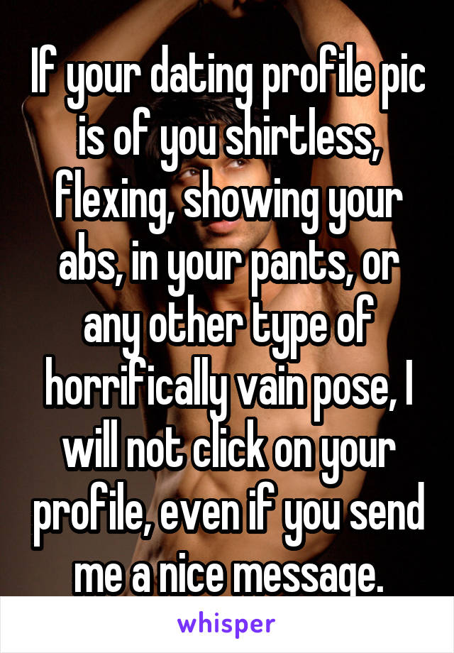 If your dating profile pic is of you shirtless, flexing, showing your abs, in your pants, or any other type of horrifically vain pose, I will not click on your profile, even if you send me a nice message.