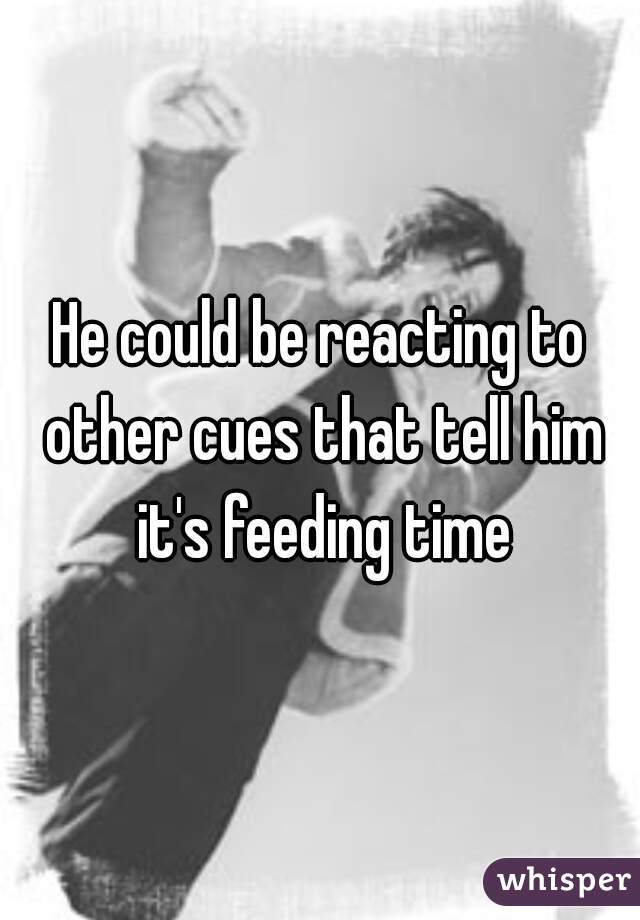 He could be reacting to other cues that tell him it's feeding time