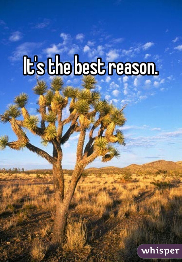 It's the best reason. 