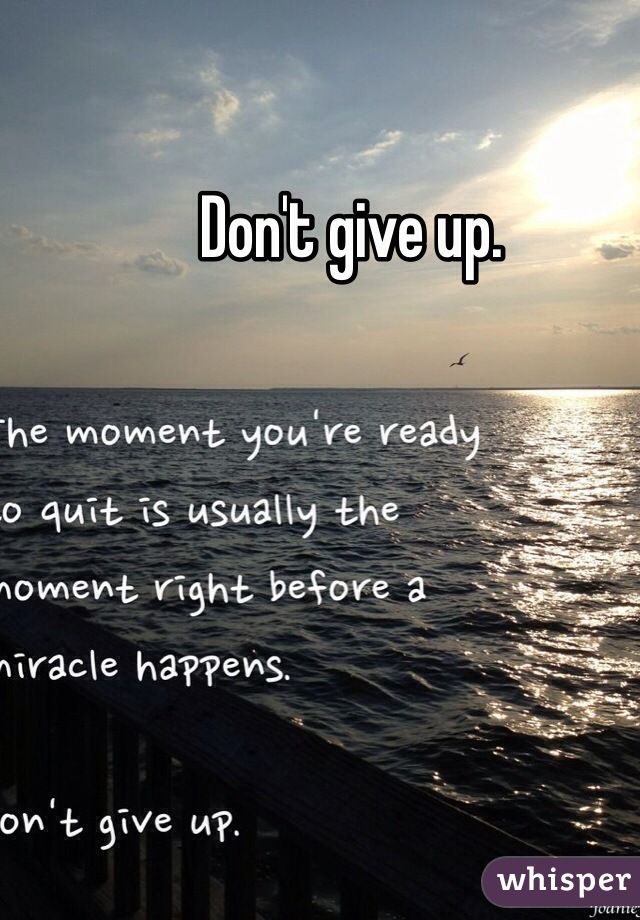 Don't give up. 