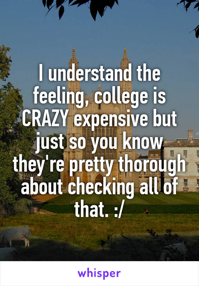 I understand the feeling, college is CRAZY expensive but just so you know they're pretty thorough about checking all of that. :/