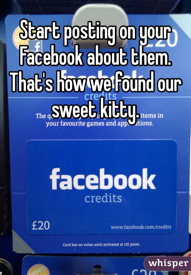 Start posting on your Facebook about them.  That's how we found our sweet kitty.  