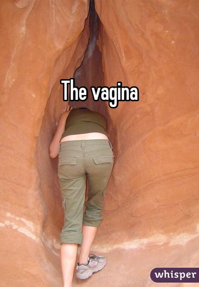 The vagina