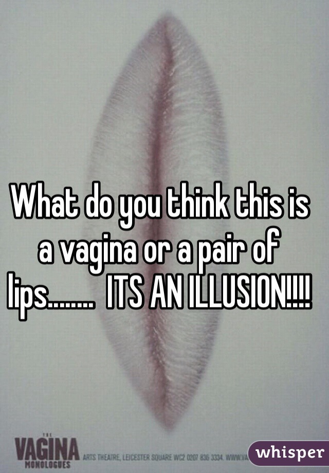 What do you think this is a vagina or a pair of lips........  ITS AN ILLUSION!!!!